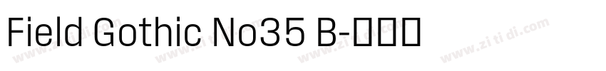 Field Gothic No35 B字体转换